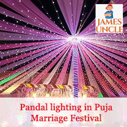 Pandal lighting in Puja Marriage Festival Mr. Mridul Paul in Raiganj